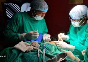 नई जिंदगी