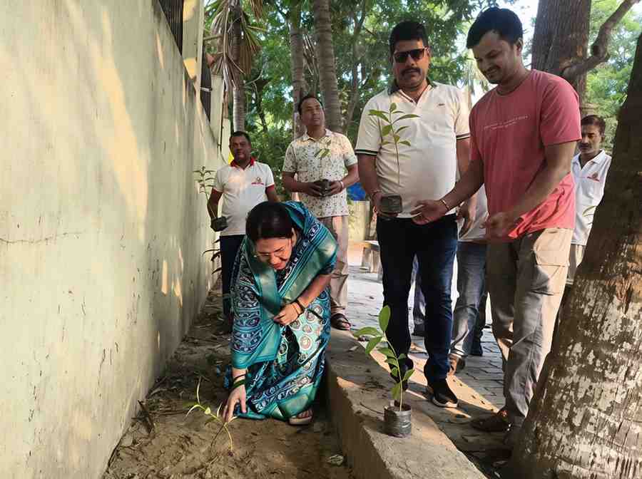 विश्व पर्यावरण दिवस 